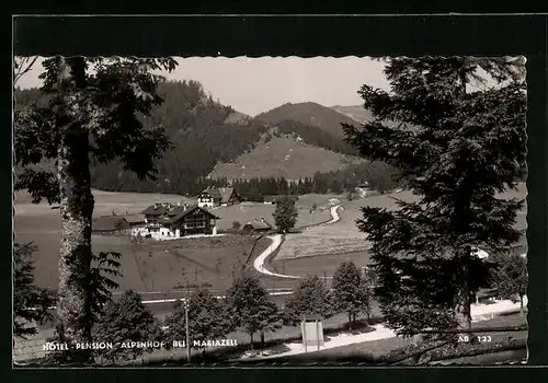 AK Mariazell, Hotel-Pension Alpenhof und Umgebung