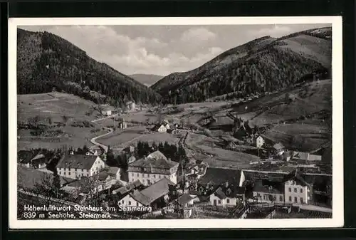 AK Steinhaus a. Semmering, Ort mit Umgebung