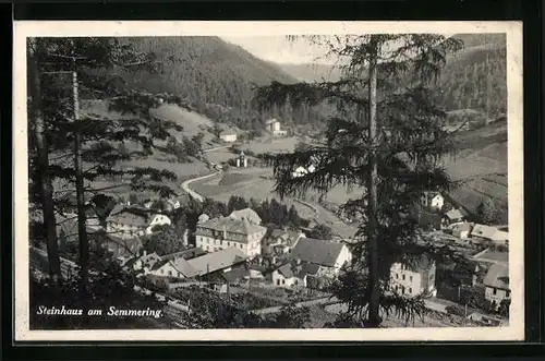 AK Steinhaus a. Semmering, Blick auf die Ortschaft vom Berg aus
