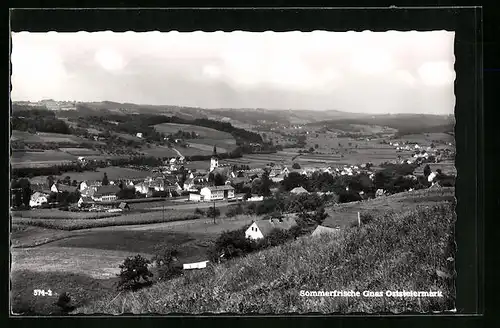 AK Gnas, Blick auf die Sommerfrische