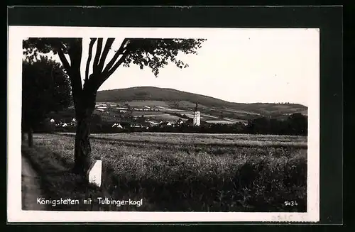 AK Königstetten, Ortsansicht mit Tulbingerkogl