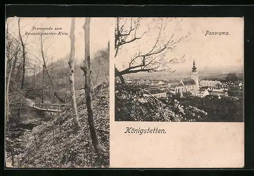 AK Königstetten, Panorama mit Promenade zum Reconvalsceenten-Heim