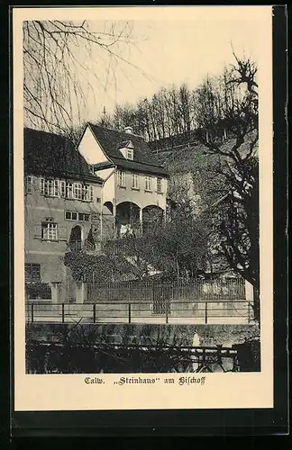 AK Calw, Steinhaus am Bischoff