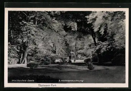 AK Weissenfels /Saale, Thälmann-Park bei Nachtbeleuchtung