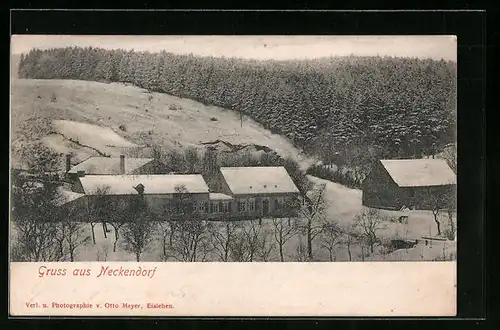 AK Neckendorf, Ortspartie im Winter