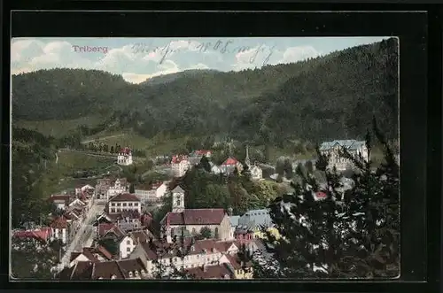 AK Triberg, Ortspartie vor Bergen