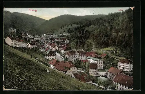 AK Triberg, Häuser im Tal