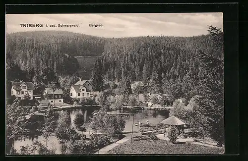 AK Triberg /bad. Schwarzwald, Rudern auf dem Bergsee