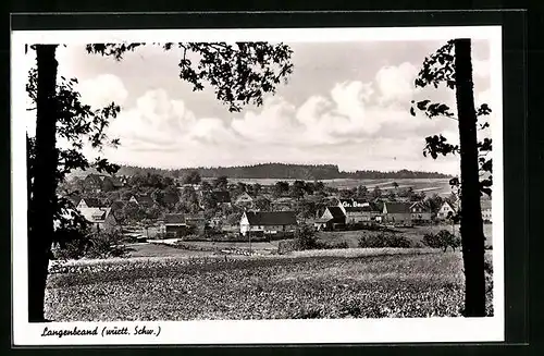 AK Langenbrand / Württbg. Schw., Ort, Grosser Baum