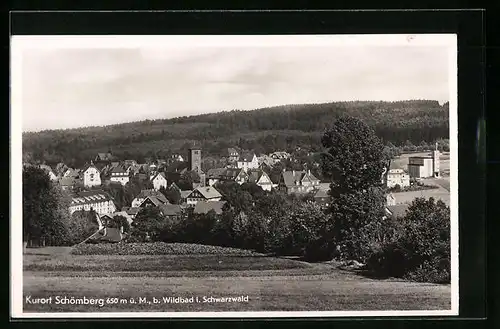 AK Schömberg /Wildbad, Ortspartie