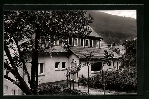AK Wildbad / Schwarzw., Haus Roseneck