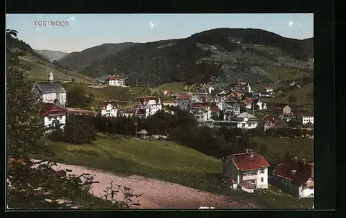 AK Todtmoos, Weg am Ortsrand