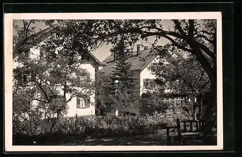 Foto-AK Stammheim / Calw, Ortspartie