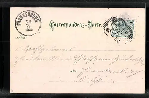 Lithographie Linz, Linzerin, Ortsansicht aus der Vogelschau