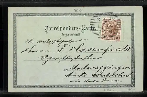 Lithographie Linz a. D., Brücke und Urfahr, Calvarienberg, Ortsansicht