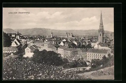 AK Linz /Donau, Ortsansicht vom Bauernberg aus