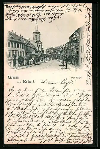 AK Erfurt, Der Anger mit Bäumen