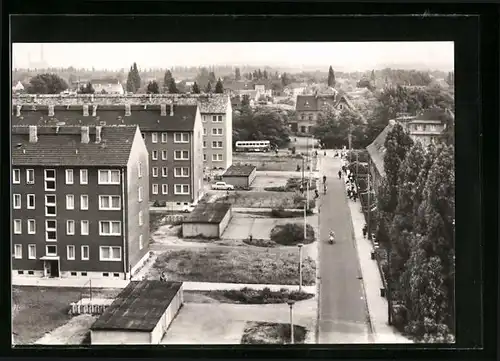 AK Sandersdorf /Kr. Bitterfeld, Feldstrasse mit Passanten