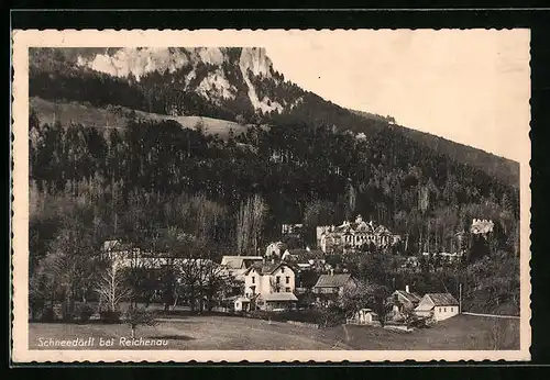 AK Schneedörfl b. Reichenau, Ortsansicht mit Bergpanorama