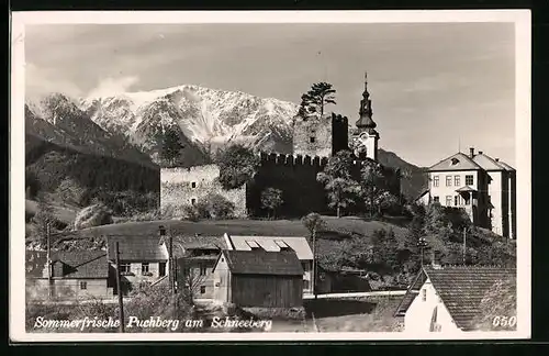 AK Puchberg, Sommerfrische am Schneeberg