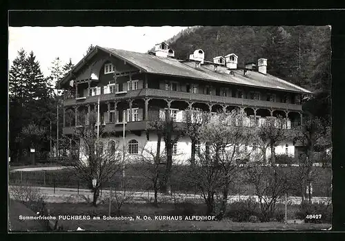 AK Puchberg, Blick zum Kurhaus Alpenhof