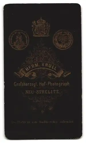 Fotografie Herm. Krull, Neu-Strelitz, Bürgerliche Dame sitzt am Tisch