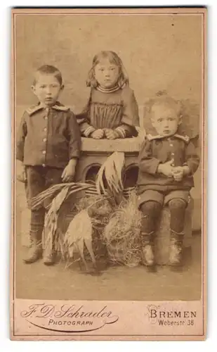 Fotografie F. D. Schrader, Bremen, Weberstr. 38, Zwei kleine Jungen im Matrosenanzug und Mädchen