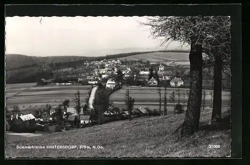 AK Hintersdorf, Teilansicht mit Strassenpartie und Bäumen