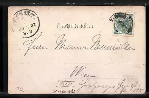 Foto-AK Scheibbs, Teilansicht