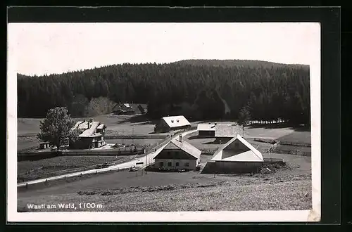 AK Puchenstuben, Wastl am Wald