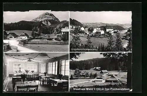 AK Puchenstuben, Innenansicht Gasthaus Wastl am Wald, Ortspartie, Teilansicht
