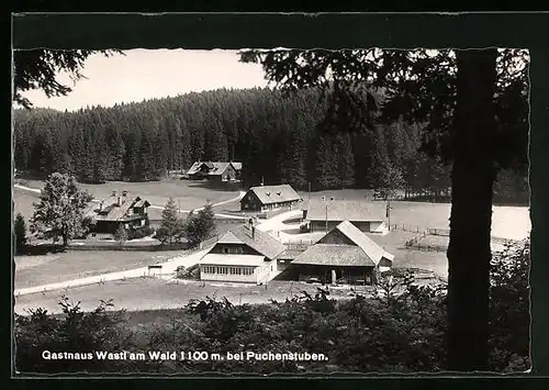 AK Puchenstuben, Gasthaus Wastl am Wald