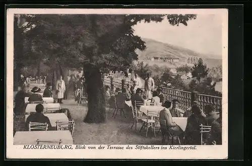 AK Klosterneuburg, Blick von der Terrasse des Stiftskellers ins Kierlingertal