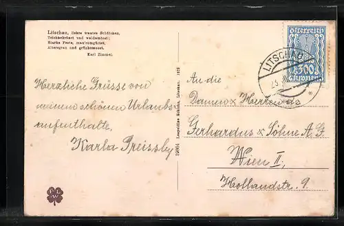 AK Litschau, Ortsansicht mit Schloss