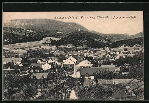 AK Piesting, Teilansicht mit Bergpanorama