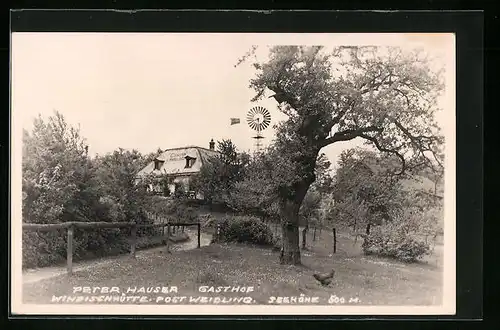 AK Weidling, Gasthaus Windischhütte Peter Hauser