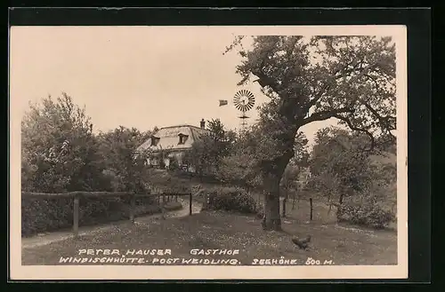 AK Weidling, Gasthaus Windischhütte Peter Hauser