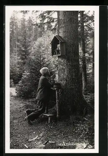 AK Mariazell, Waldhansl vor einem Bildstock im Nadelwald betend