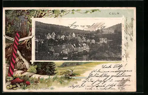 Präge-AK Calw, Ort aus der Vogelschau