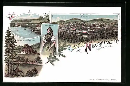 Lithographie Neustadt /Schwarzwald, Frau in Schwarzwälder Tracht, Bauernhaus, Neustadt aus der Vogelschau