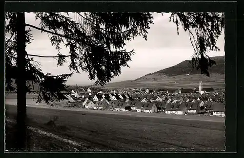 AK Blumberg /Baden, Ortsansicht vom Wald aus gesehen