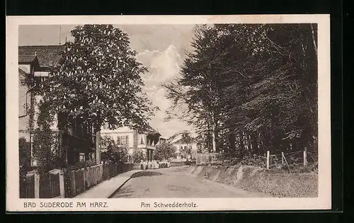 AK Bad Suderode /Harz, Frauengruppe Am Schwedderholz