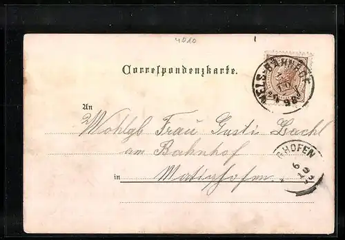 Lithographie Linz a. D., Ortsansicht mit Donau, Franz Josef Platz