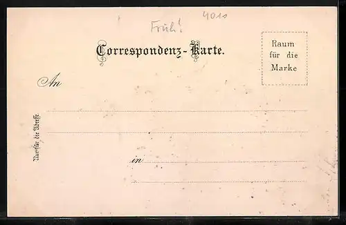 Lithographie Linz a. D., Maria Empfängniss-Dom, Strassenpartie mit bahnhof, Landstrasse mit Strassenbahn