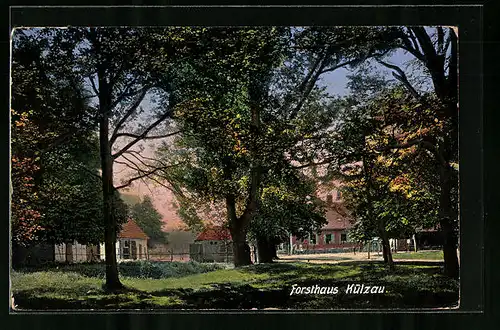 AK Külzau, Forsthaus Külzau hinter Bäumen