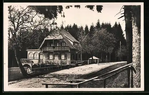 AK Saig b. Titisee, Café Alpenblick mit Strassenpartie