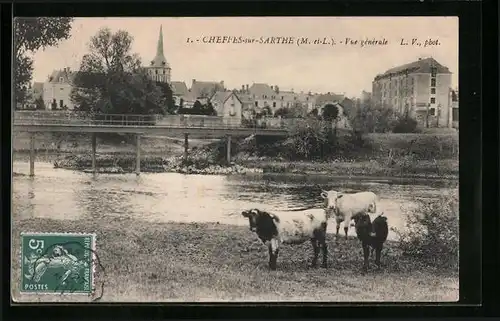 AK Cheffes-sur-Sarthe, Vue générale