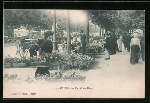 AK Angers, La Marchè aux Fleurs
