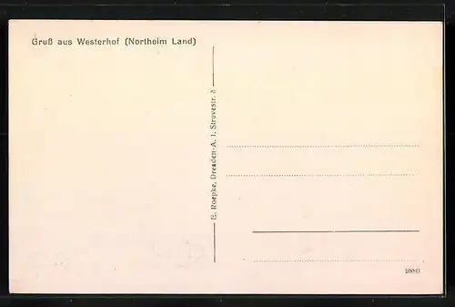 AK Westerhof /Northeim Land, Totalansicht, Domäne, Schule