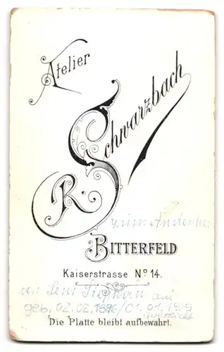 Fotografie R. Schwarzbach, Bitterfeld, Kaiserstrasse 14, Süsses Kleinkind mit Spitzenkragen